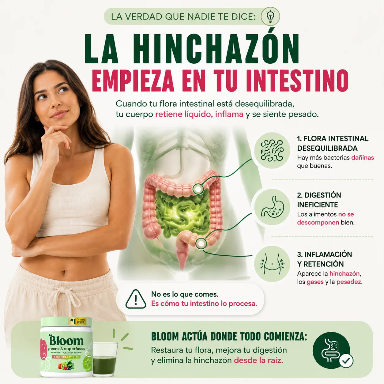 Bloom Fresa Kiwi 225 g | Digestión, Energía y Menos Hinchazón