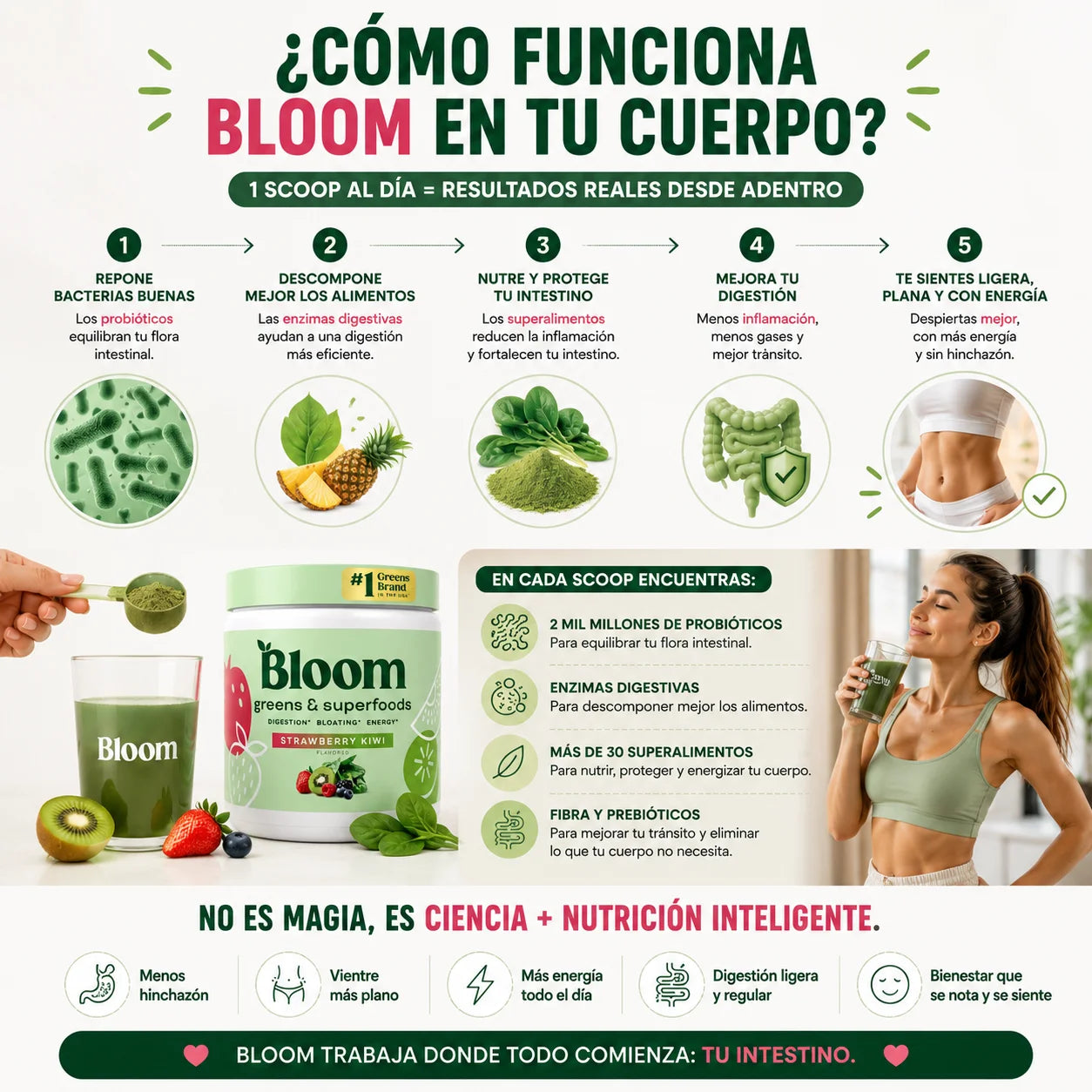 Bloom Fresa Kiwi 225 g | Digestión, Energía y Menos Hinchazón