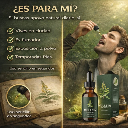 Mullein™ | Limpieza Pulmonar Natural