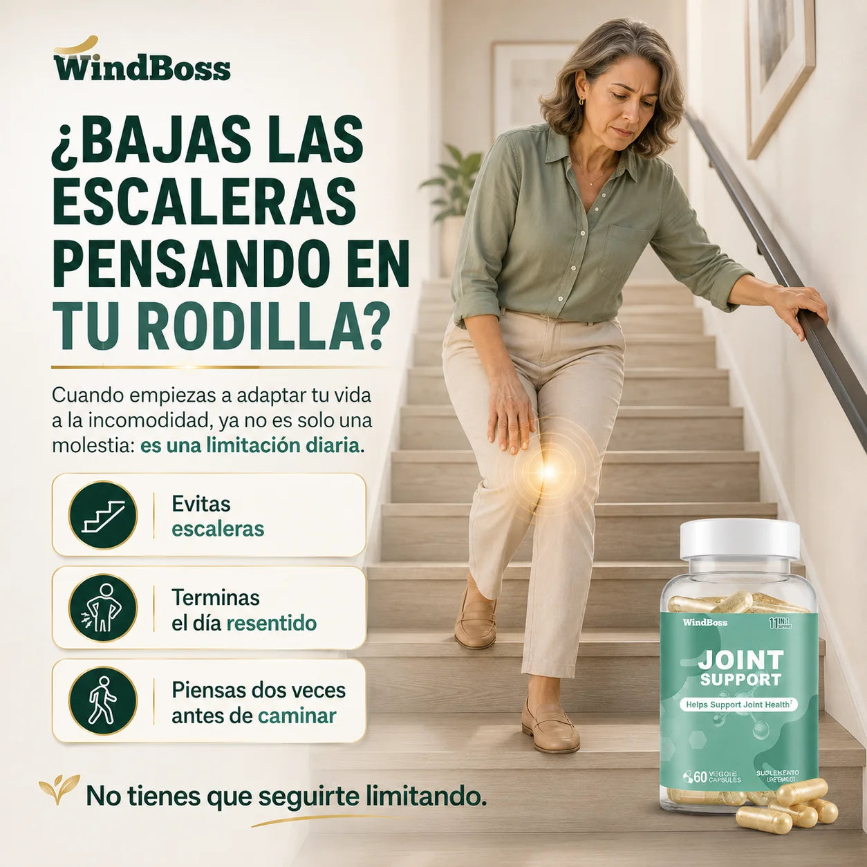 Suplemento Joint Support WindBoss | Para Articulaciones, Cartílago y Movilidad