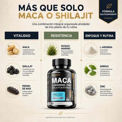 Suplemento Megneta con Maca, Shilajit y Ginseng | 60 Cápsulas